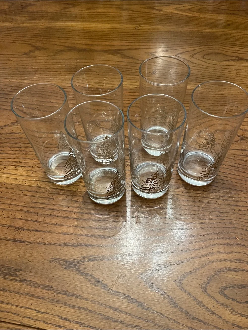 Set of 6 Golden Pines Tumblers